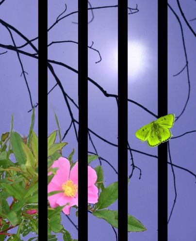 Prison-window