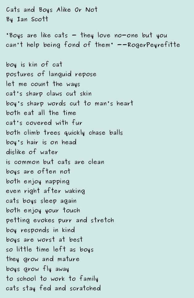 cats boys