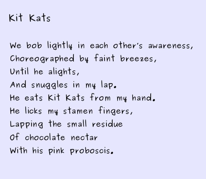 poem kit kats