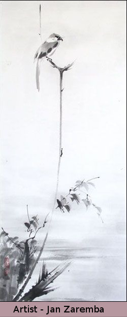 Shrike - zaremba